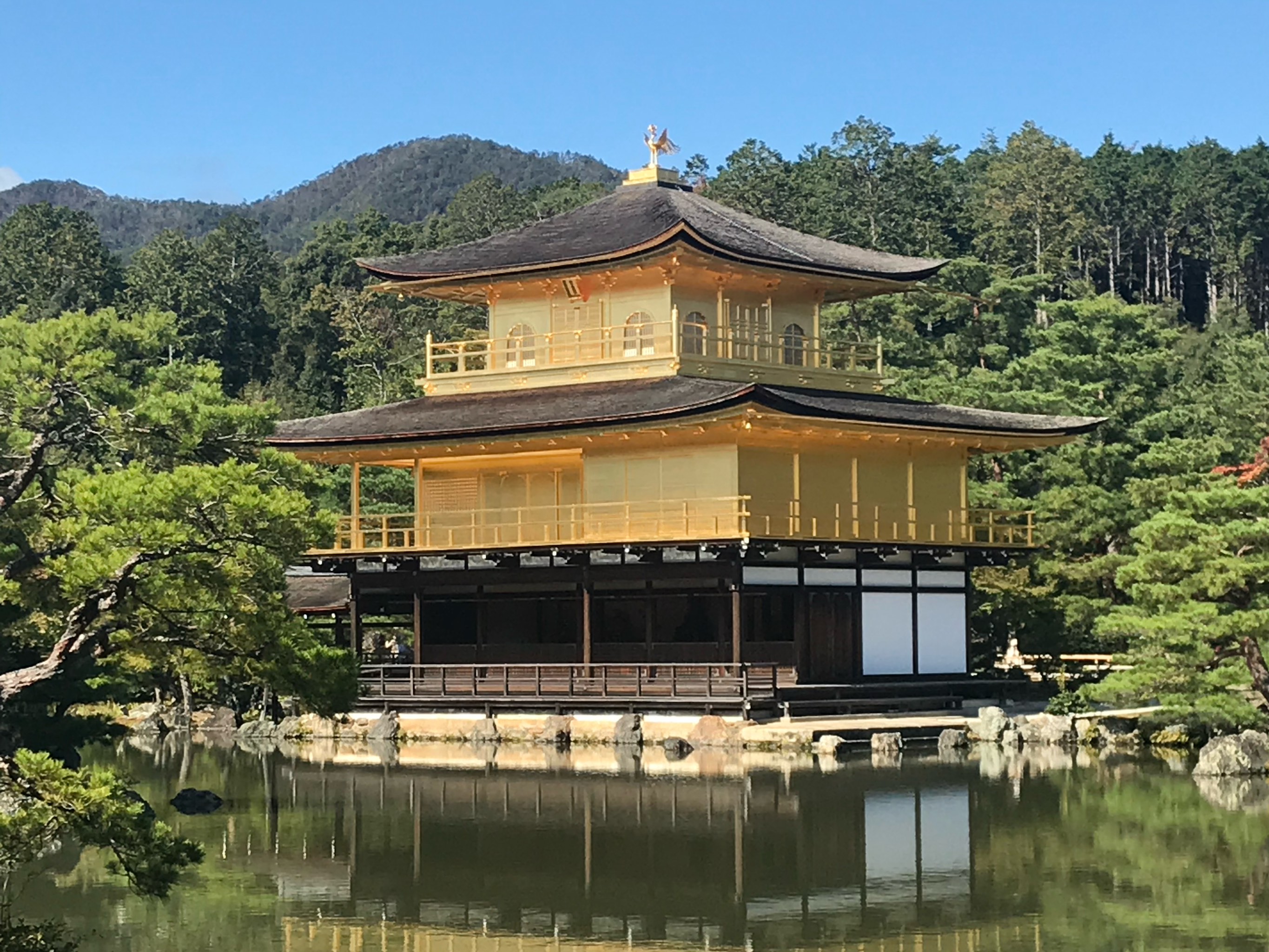 日本金阁寺介绍图片