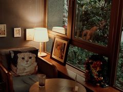 靠窗位-咖法森林·咖啡  酒吧(天河店)