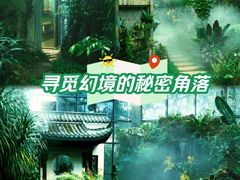 -东莞植物园