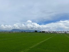 -喜林苑·稻田餐厅(品相府店)