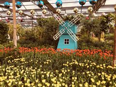 -南宫五洲植物乐园