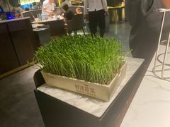 -领鲜天下·焗海鲜·花胶鸡(天目里店)