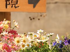 -辛庄国际文化艺术区