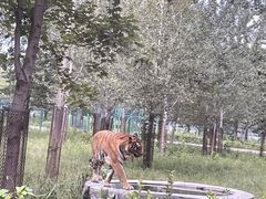 -秦皇岛野生动物园