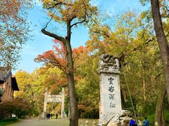 -灵谷景区