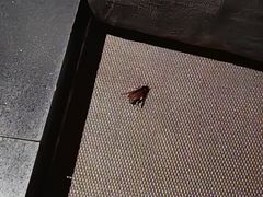 -泰迈·影院式足道SPA(世纪大道店)