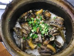 -红星光发煲仔饭(大石街店)