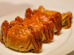 -福1015(愚园路店)