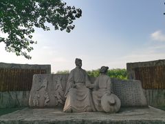 -合肥滨湖国家森林公园