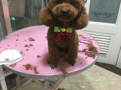 -蒸膳坊(王寨店)