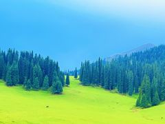 -新疆那拉提国家旅游度假区