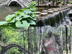 -洛阳白云山景区