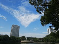 -月湖公园