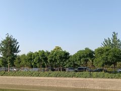 -和合谷(海淀五路居店)