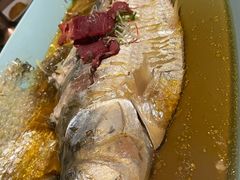 糟香鲥鱼-夜上海(新天地店)