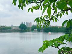 -东山湖公园