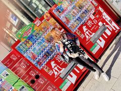 -台场海滨公园船码头