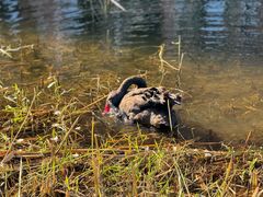 -广富林郊野公园