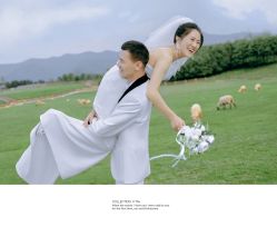 -金夫人婚纱摄影