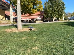 -意大利农场度假村