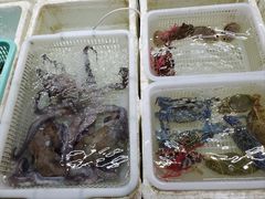 -外伶仃岛海鲜市场