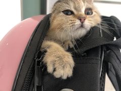 -佳雯宠物医院·皮肤科·内外科(春晓路分院)