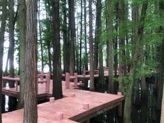 -东湖落雁景区