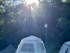 -长沙黑麋峰国家森林公园