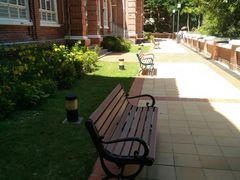 -香港大学