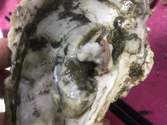 -蠔园山庄(礼乐食街店)