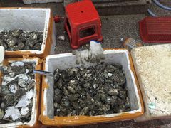 -蚝哥花姐湛江烤生蚝(美丽湾市场店)