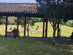 -嬉乐湾休闲旅游区