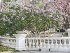 -济南国际园博园