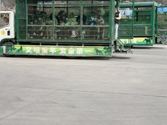 -五龙山野生动物王国