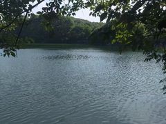 -杭州半山国家森林公园