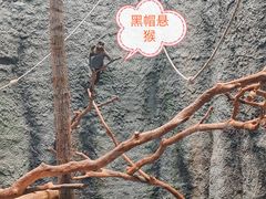 -武汉动物园