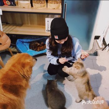打卡一家可以rua猫又可以撸狗的店
