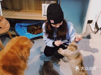 打卡一家可以rua猫又可以撸狗的店