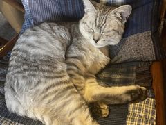 -普洱茶府(博乐广场店)