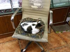 -维吾尔餐厅(宜山路店)