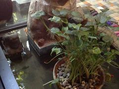 android_upload_pic-旅马餐厅(茅家埠店)