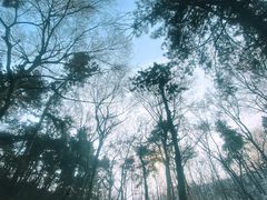 -望溪公园