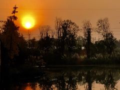 -白鹭湾湿地公园