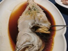 -金狮麟·新豫菜(金码大厦店)