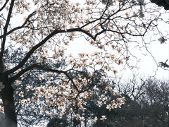-何园