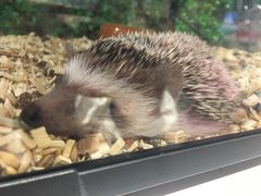 -狗道宠物(常熟印象城店)