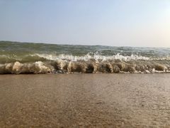 -玫瑰海岸文化旅游度假区