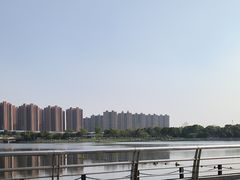 -映月湖中央公园