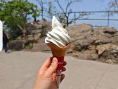 -紫金山山顶公园