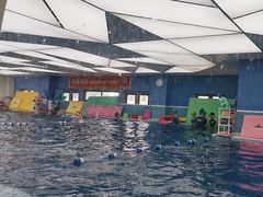 -龙格亲子游泳·水育早教运动中心(绿城店)